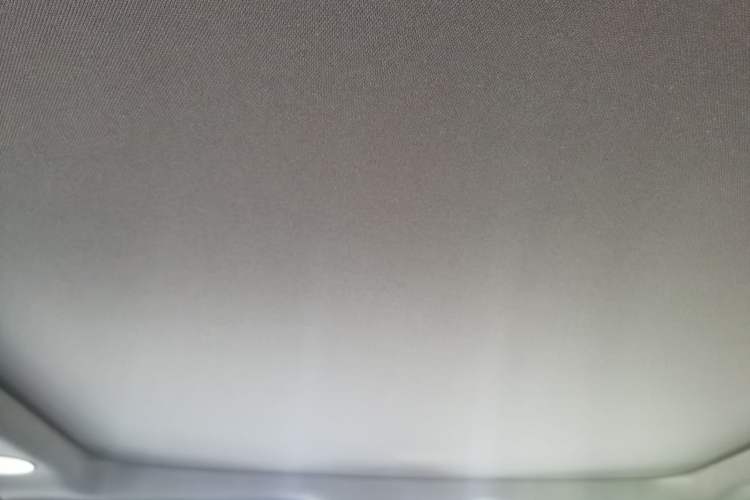 Used Ford F-150  Headliner
