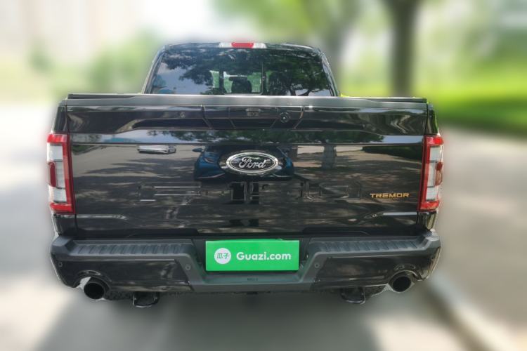 Used Ford F-150  Rear