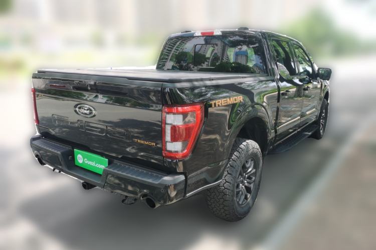 Used Ford F-150  Rear Right 45 Deg