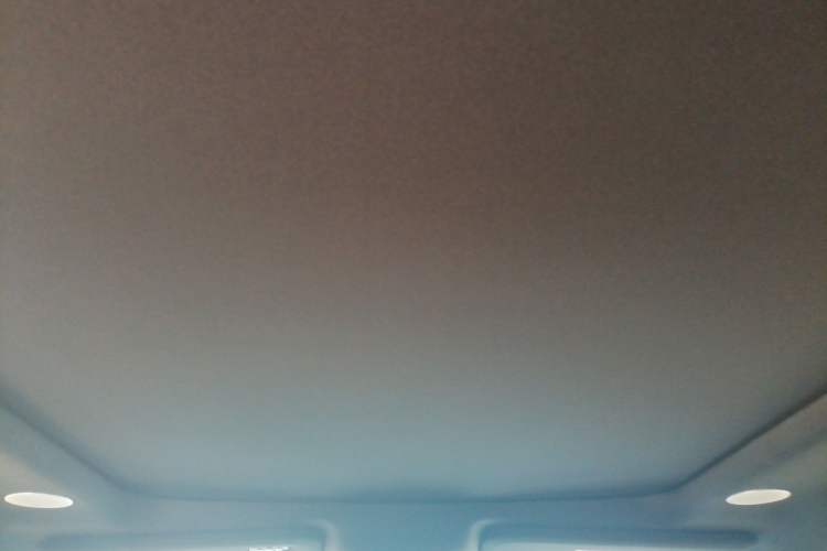 Used Ford F-150 Raptor 2023 3.5T Raptor Headliner