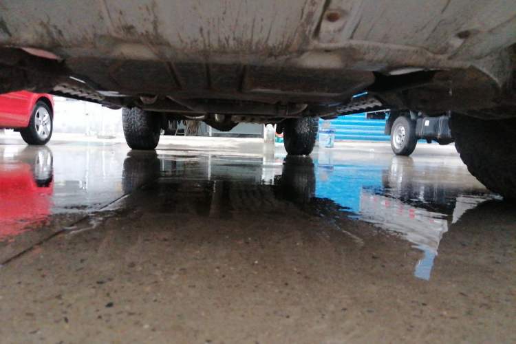Used Ford F-150 Raptor 2011 6.2L SVT Raptor SuperCrew Chassis Front