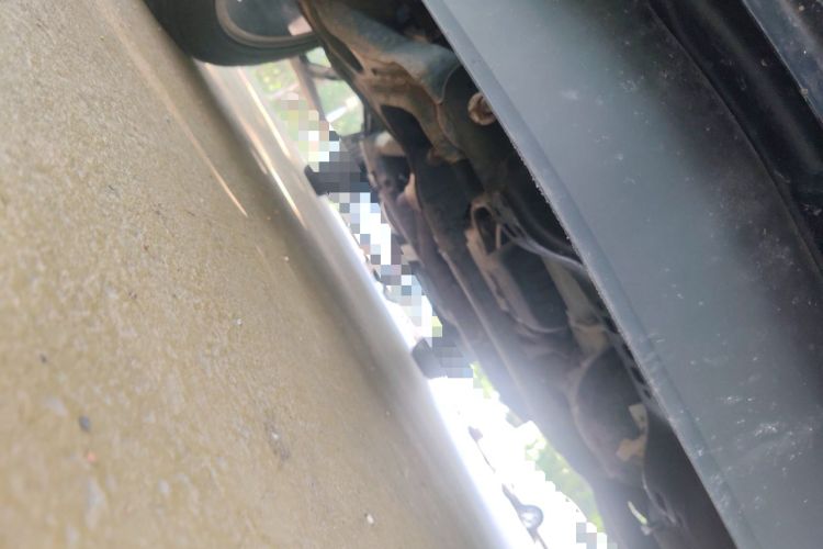 Used Ford F-150 Raptor 2011 6.2L Harley-Davidson Chassis Front