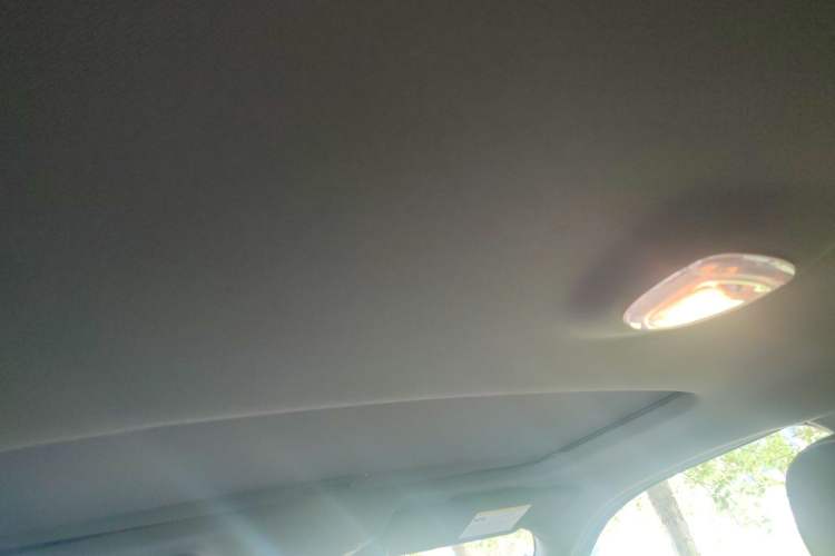 Used Ford F-150 Raptor 2011 6.2L Harley-Davidson Headliner