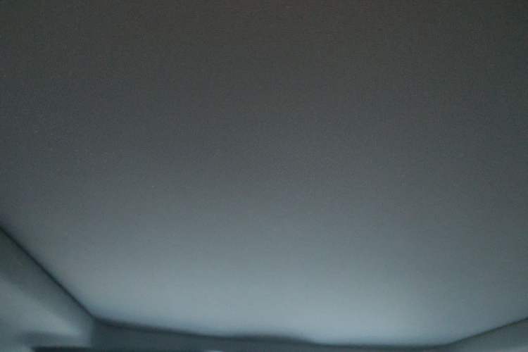 Used Ford F-150 Raptor 2011 6.2L SVT Raptor SuperCab Headliner