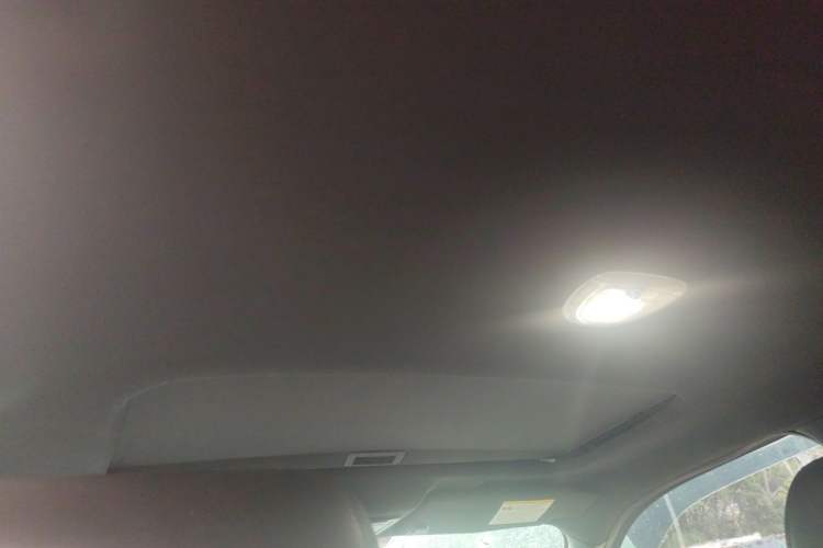 Used Ford F-150 Raptor  Headliner