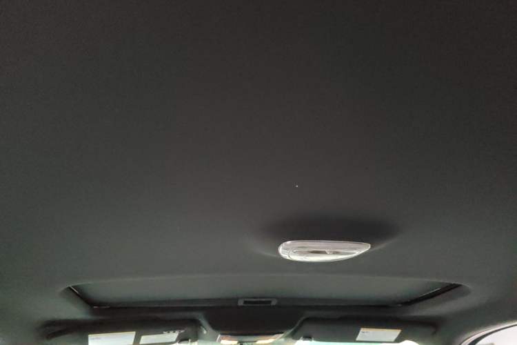 Used Ford F-150 Raptor  Headliner