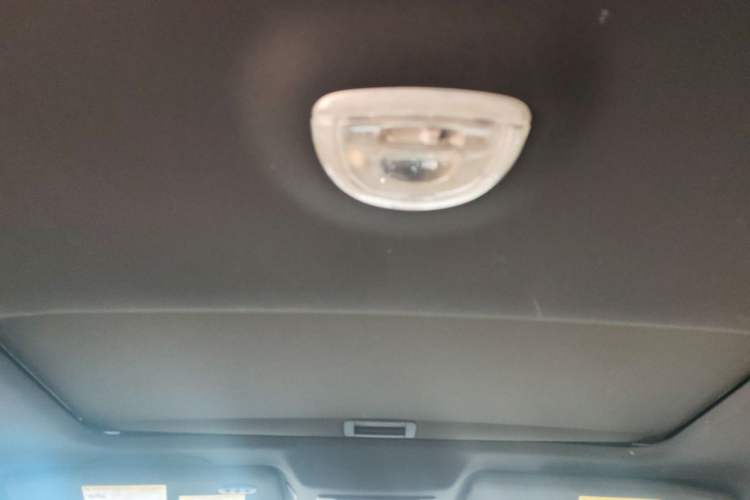 Used Ford F-150 Raptor 2014 6.2L U.S. Version Headliner
