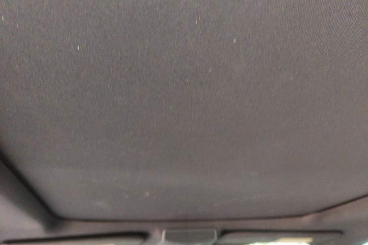 Used Ford F-150 Raptor  Headliner