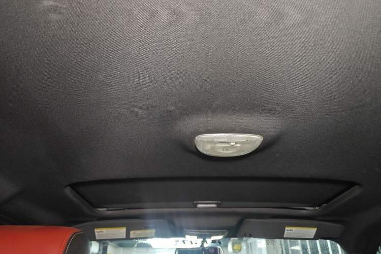 Used Ford F-150 Raptor  Headliner