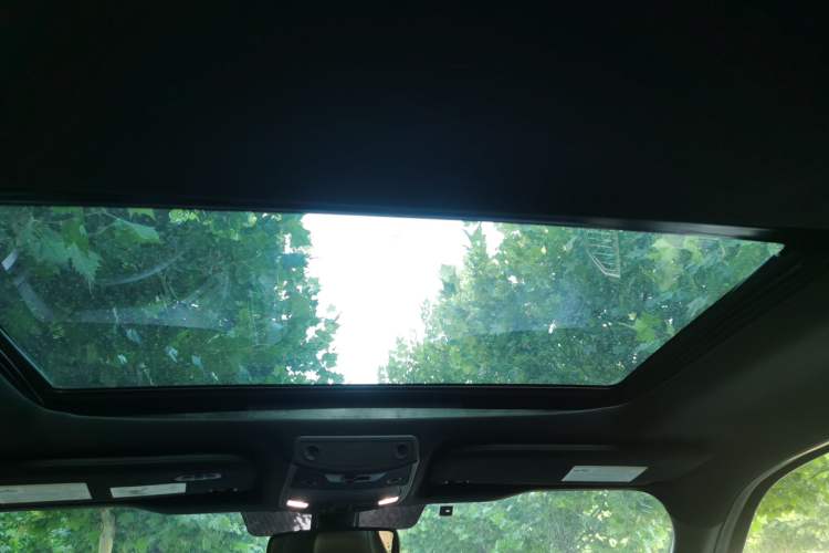 Used Ford F-150 Raptor  Headliner