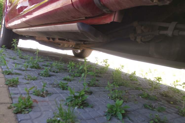 Used Ford F-150 Raptor  Chassis Rear Left