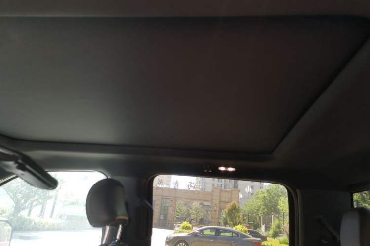 Used Ford F-150 Raptor  Headliner