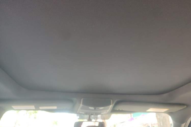 Used Ford F-150 Raptor  Headliner