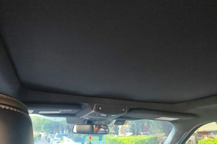 Used Ford F-150 Raptor  Headliner