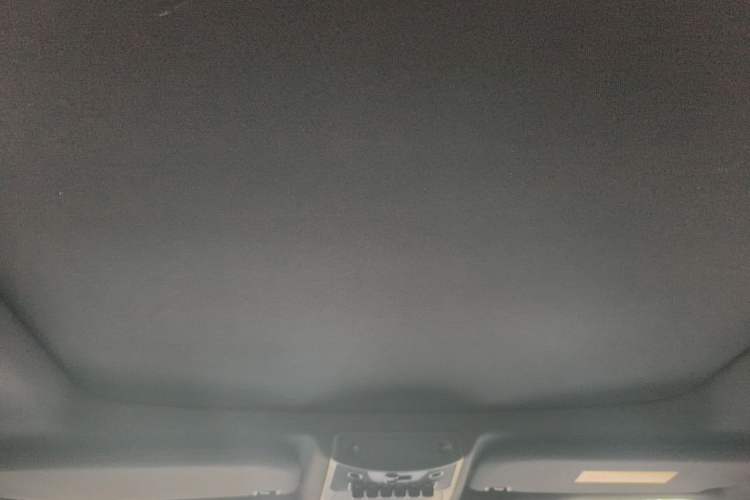 Used Ford F-150 Raptor 2017 3.5T Raptor Performance Enhanced Edition Headliner
