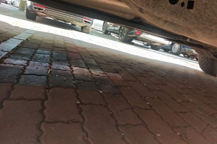 Used Ford F-150 Raptor 2017 3.5T Raptor Performance Enhanced Edition Chassis Rear Right