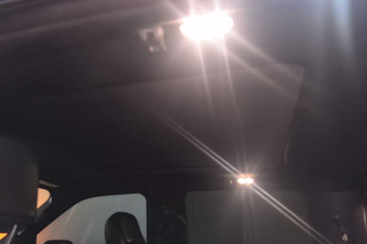 Used Ford F-150 Raptor 2017 3.5T Raptor Performance Enhanced Edition Headliner