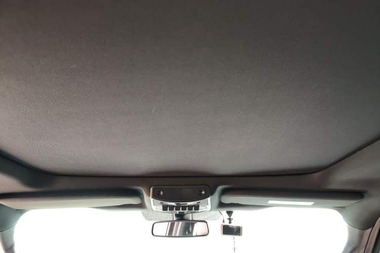 Used Ford F-150 Raptor 2017 3.5T Raptor Performance Enhanced Edition Headliner