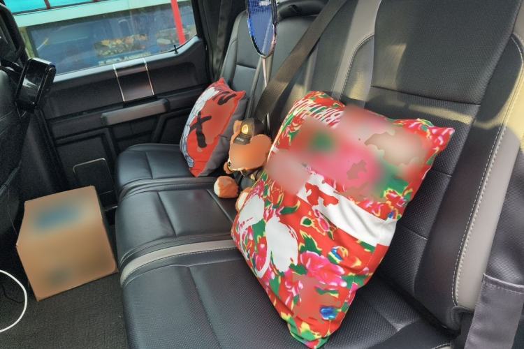 Used Ford F-150 Raptor 2017 3.5T Raptor Performance Enhanced Edition Left Rear Seat