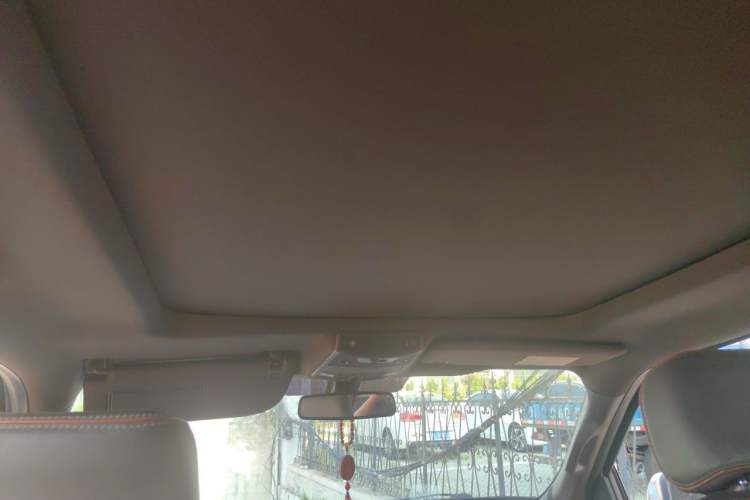 Used Ford F-150 Raptor 2017 3.5T Raptor Performance Edition Headliner