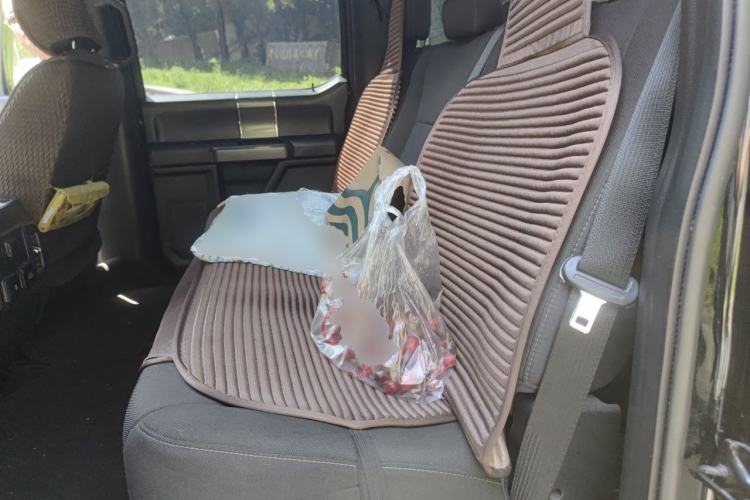 Used Ford F-150 Raptor 2018 3.5T Raptor Performance Edition Left Rear Seat