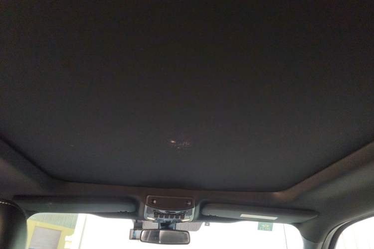 Used Ford F-150 Raptor 2018 3.5T Raptor Performance Enhanced Edition Headliner