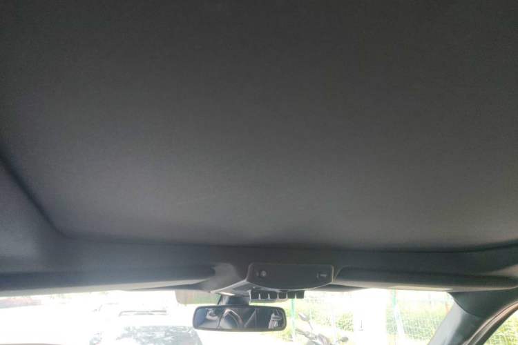Used Ford F-150 Raptor 2018 3.5T Raptor Performance Edition Headliner