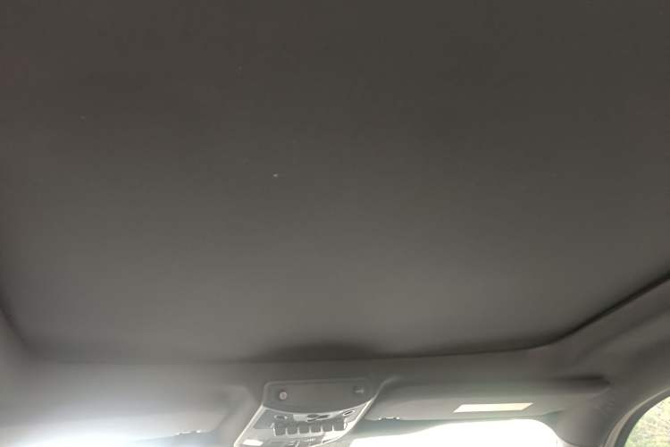 Used Ford F-150 Raptor 2018 3.5T Raptor Performance Enhanced Edition Headliner