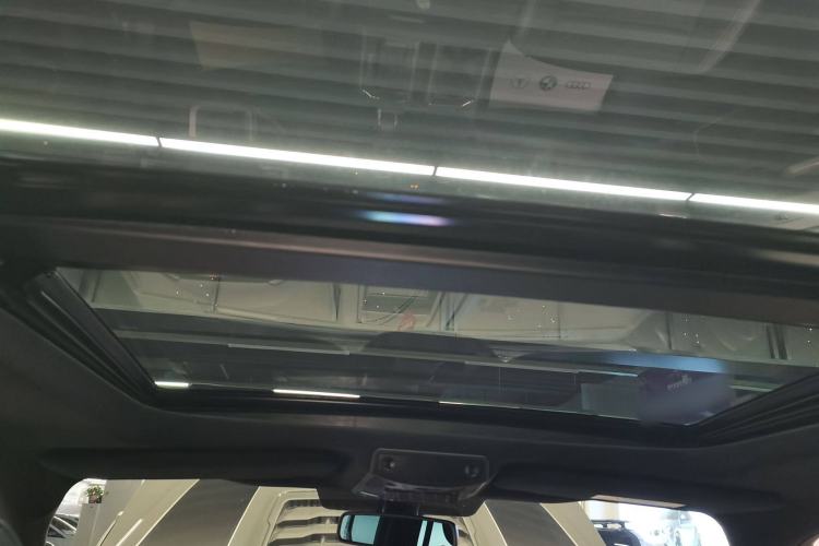 Used Ford F-150 Raptor 2018 3.5T Raptor Performance Enhanced Edition Headliner