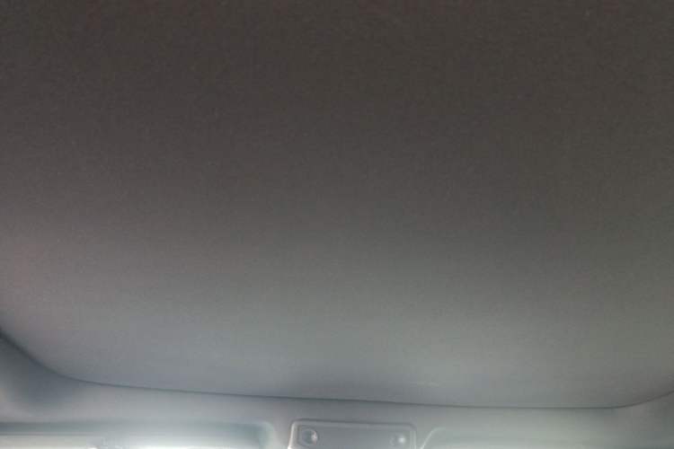 Used Ford F-150 Raptor  Headliner
