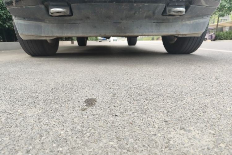 Used Ford F-150 Raptor 2019 3.5T LTD Chassis Front