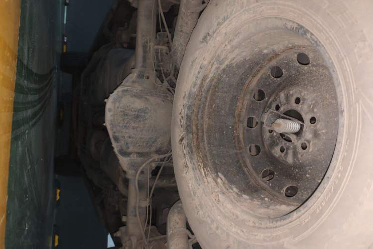Used Ford F-150 Raptor 2019 3.5T LTD Chassis Rear