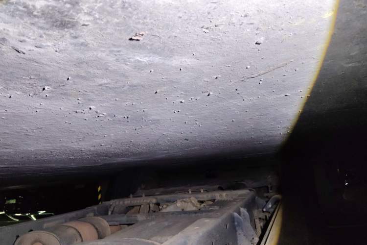 Used Ford F-150 Raptor 2019 3.5T LTD Chassis Rear Left