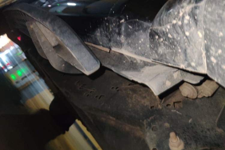 Used Ford F-150 Raptor 2019 3.5T Raptor Performance Enhanced Edition Chassis Rear Left