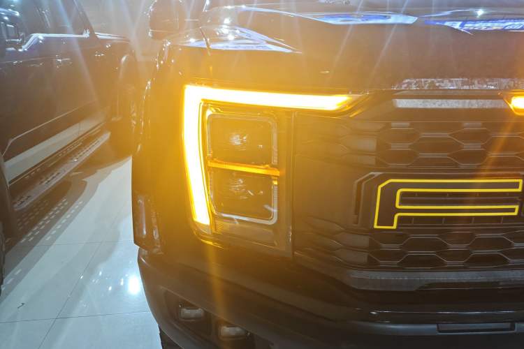 Used Ford F-150 Raptor 2019 3.5T LTD Exterior 3