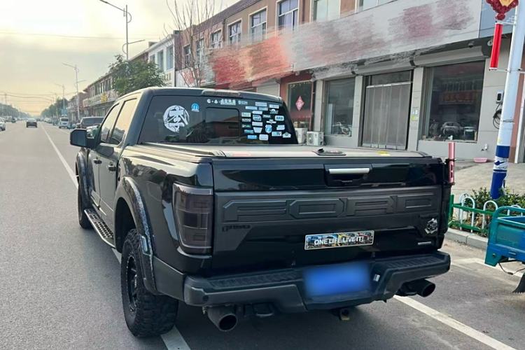 Used Ford F-150 Raptor 2019 3.5T LTD Exterior 6