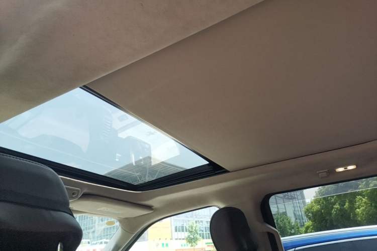 Used Ford F-150 Raptor 2019 3.5T LTD Headliner