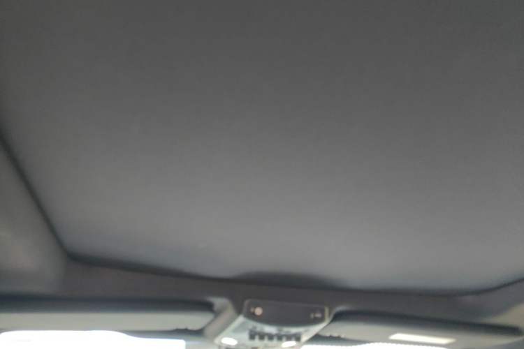 Used Ford F-150 Raptor 2019 3.5T Raptor Performance Enhanced Edition Headliner