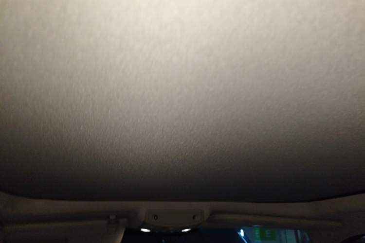 Used Ford F-150 Raptor 2019 3.5T LTD Headliner