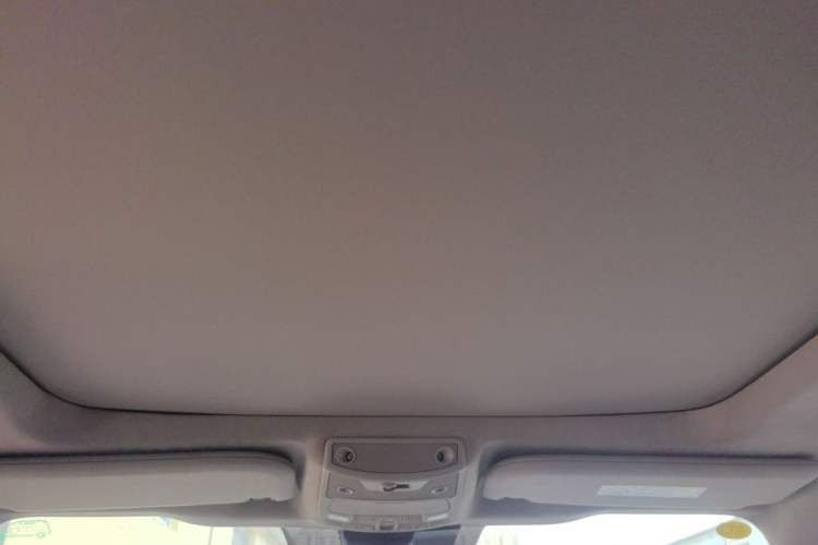 Used Ford F-150 Raptor 2019 3.5T LTD Headliner