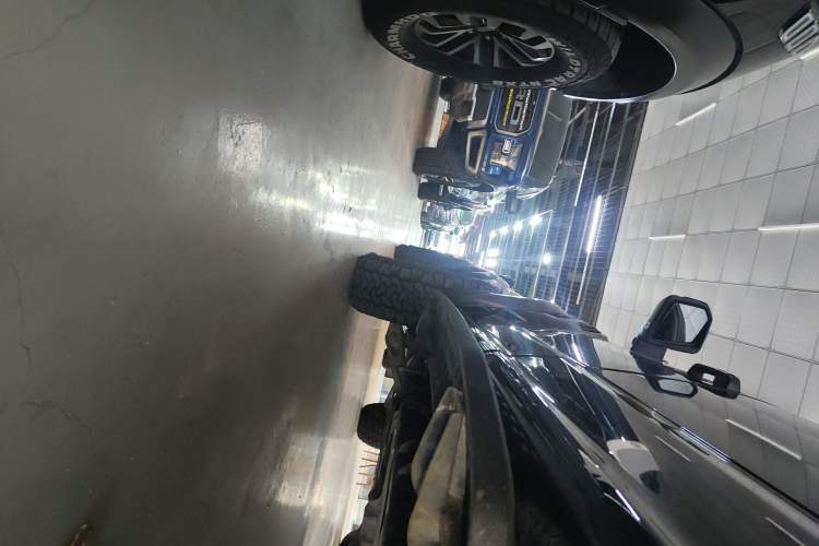 Used Ford F-150 Raptor 2019 3.5T Raptor Performance Enhanced Edition Left Side Sill