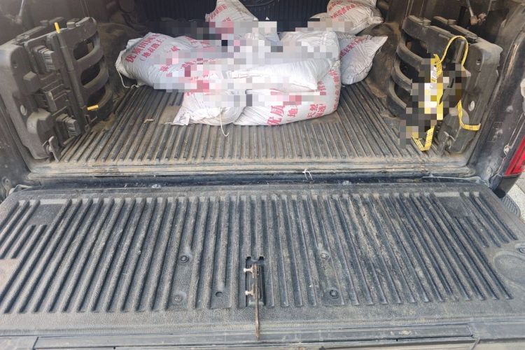 Used Ford F-150 Raptor 2019 3.5T LTD Trunk