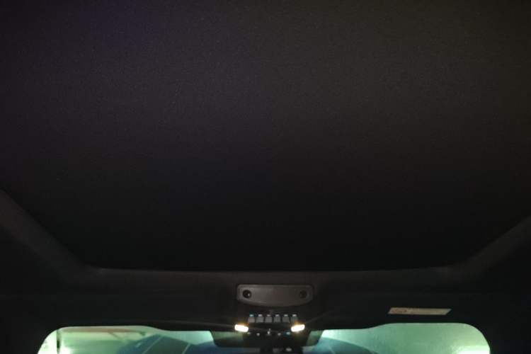 Used Ford F-150 Raptor 2019 3.5T Raptor Performance Enhanced Edition Headliner