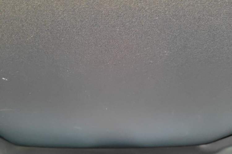 Used Ford F-150 Raptor 2019 3.5T Raptor Performance Enhanced Edition Headliner