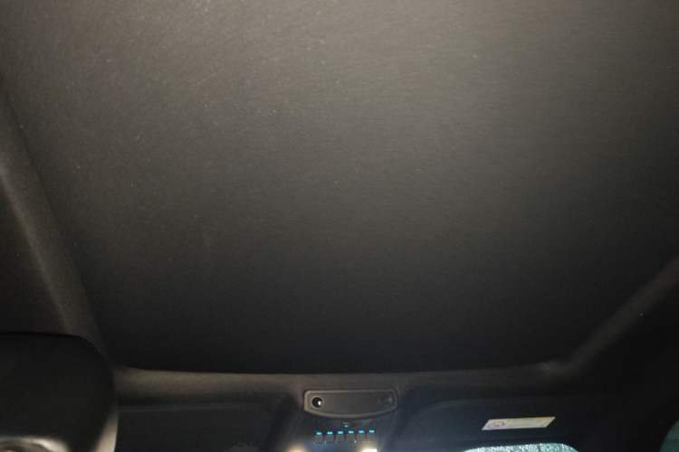 Used Ford F-150 Raptor 2019 3.5T Raptor Performance Enhanced Edition Headliner