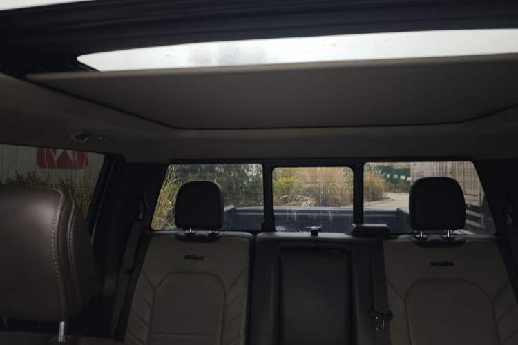 Used Ford F-150 Raptor 2019 3.5T LTD Headliner