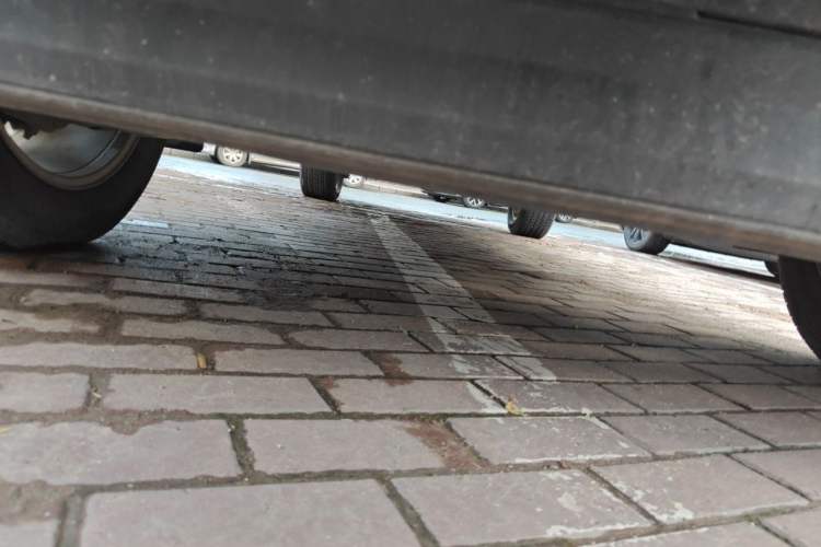 Used Ford F-150 Raptor 2019 3.5T LTD Chassis Front