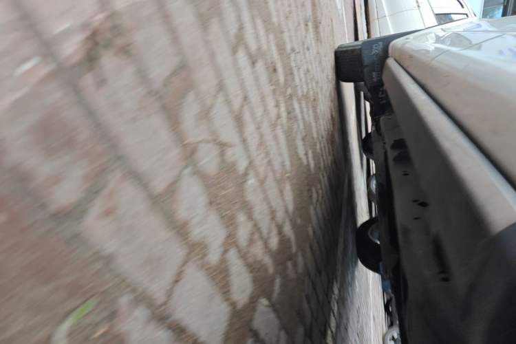 Used Ford F-150 Raptor 2019 3.5T LTD Chassis Rear Left