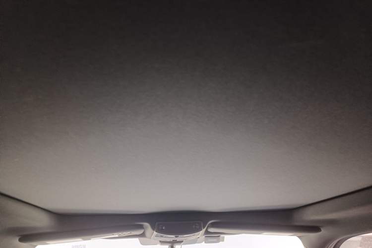 Used Ford F-150 Raptor  Headliner