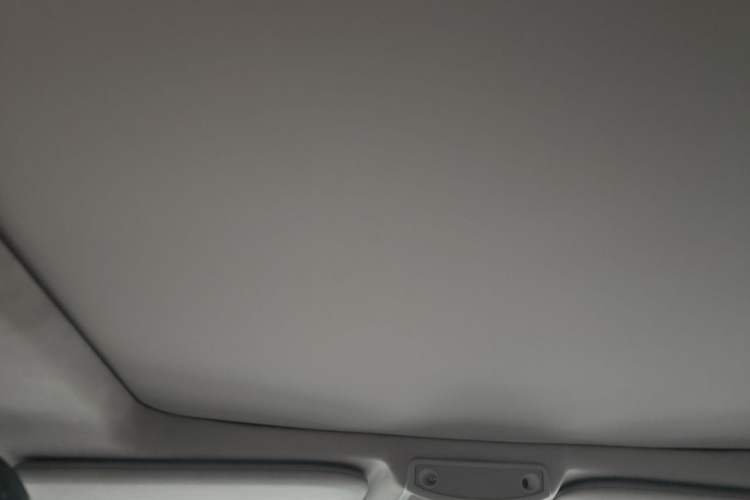 Used Ford F-150 Raptor 2019 3.5T LTD Headliner